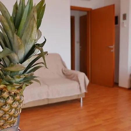 Apartment Marina *